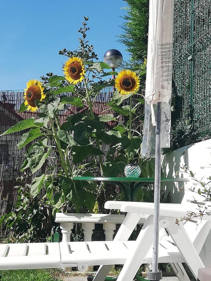 Apartamento Duplex Con Vistas Al Mar Los Girasoles โมโกร ภายนอก รูปภาพ
